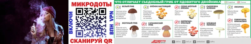 закладки  Люберцы  Псилоцибиновые грибы Cubensis 