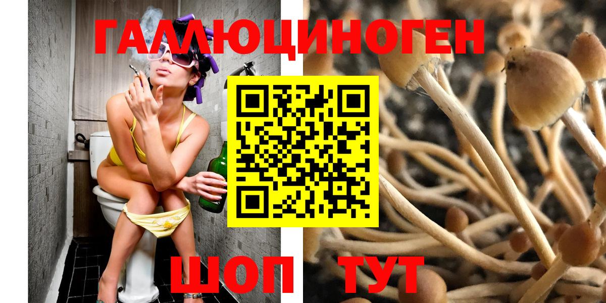 Люберцы  Псилоцибиновые грибы MAGIC MUSHROOMS  Псилоцибиновые грибы Cubensis  Вход с VPN 