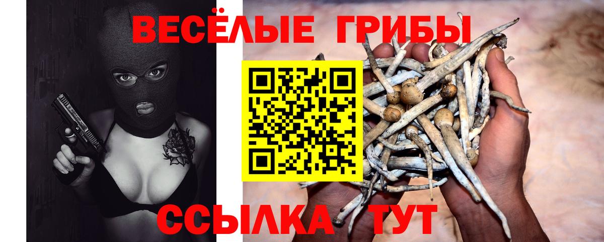 Галлюциногенные грибы мухоморы  Люберцы 